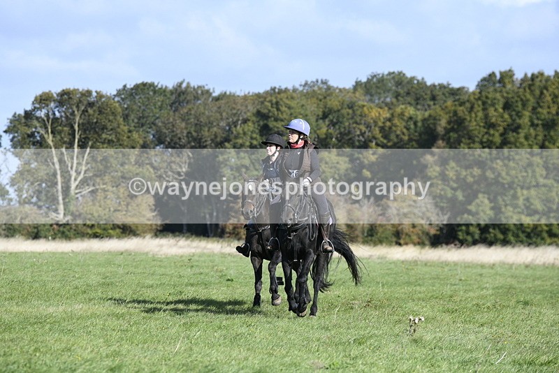 _DSC5305 - Time 10:49 to 11:23