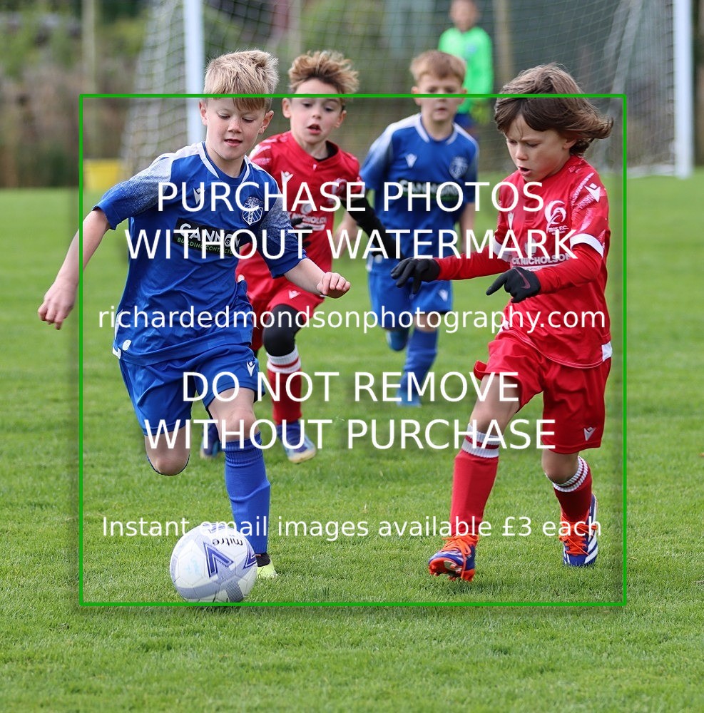 IMG_5055 - Wattsfield Under 8 vs Ibis Under 8 (12/10/24)