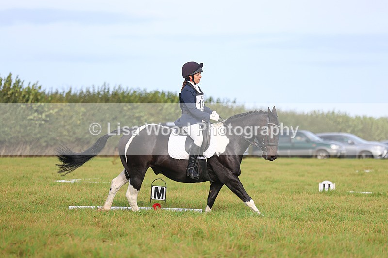 3E7A5484 - Class 1: Trebudannon Open: Dressage