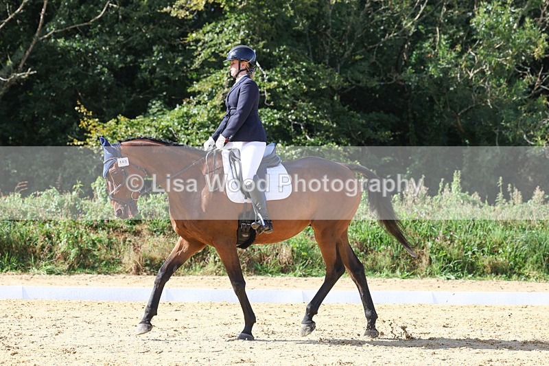 3E7A2560 - Class 1: Intro 4 2024 section A