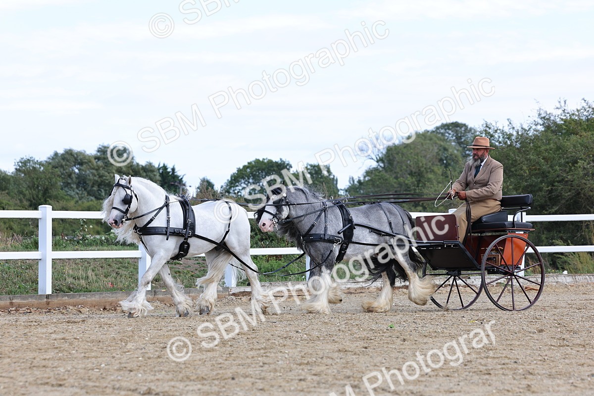 SBM_001186 - Class 16 - Pairs ,Multiples and Tandems