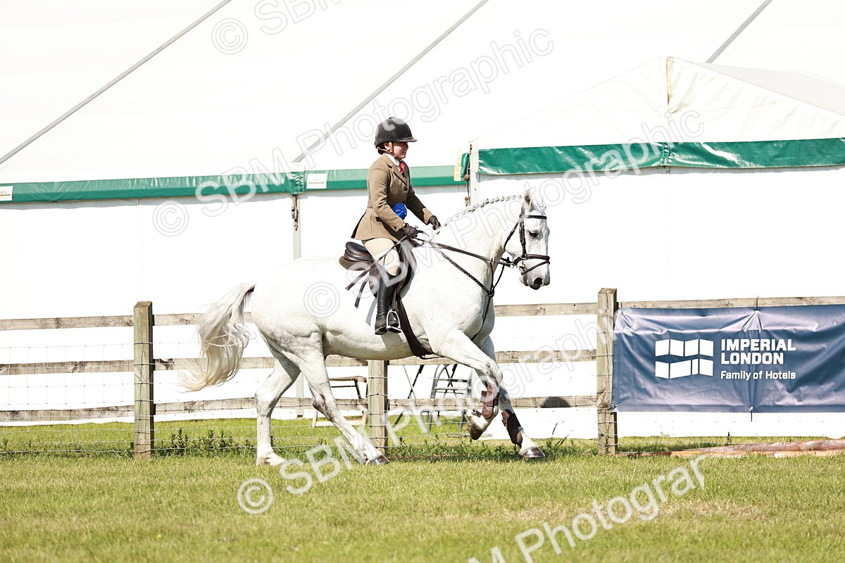 SBM_18531 - Class 112-113 - BSPS LIHS Working Sports Pony