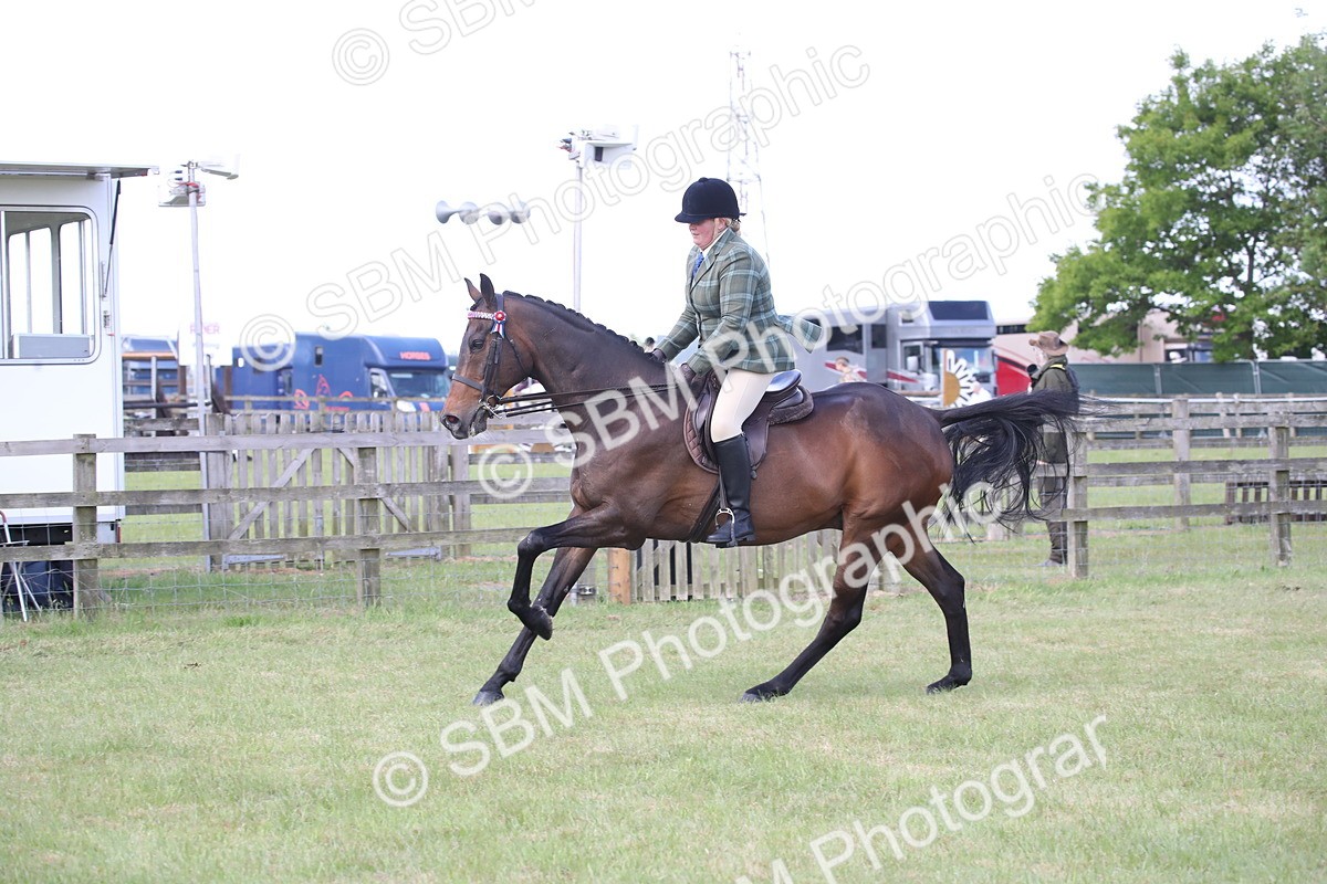 SBM_14212 - Class 113-114 - Retraining of Racehorses Ridden