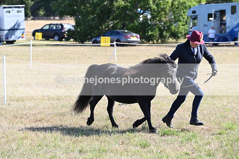 WJ6_4246 - Class 16 Condition & Turn Out