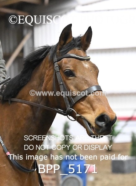 BPP_5171 - CLASS 4 50cm