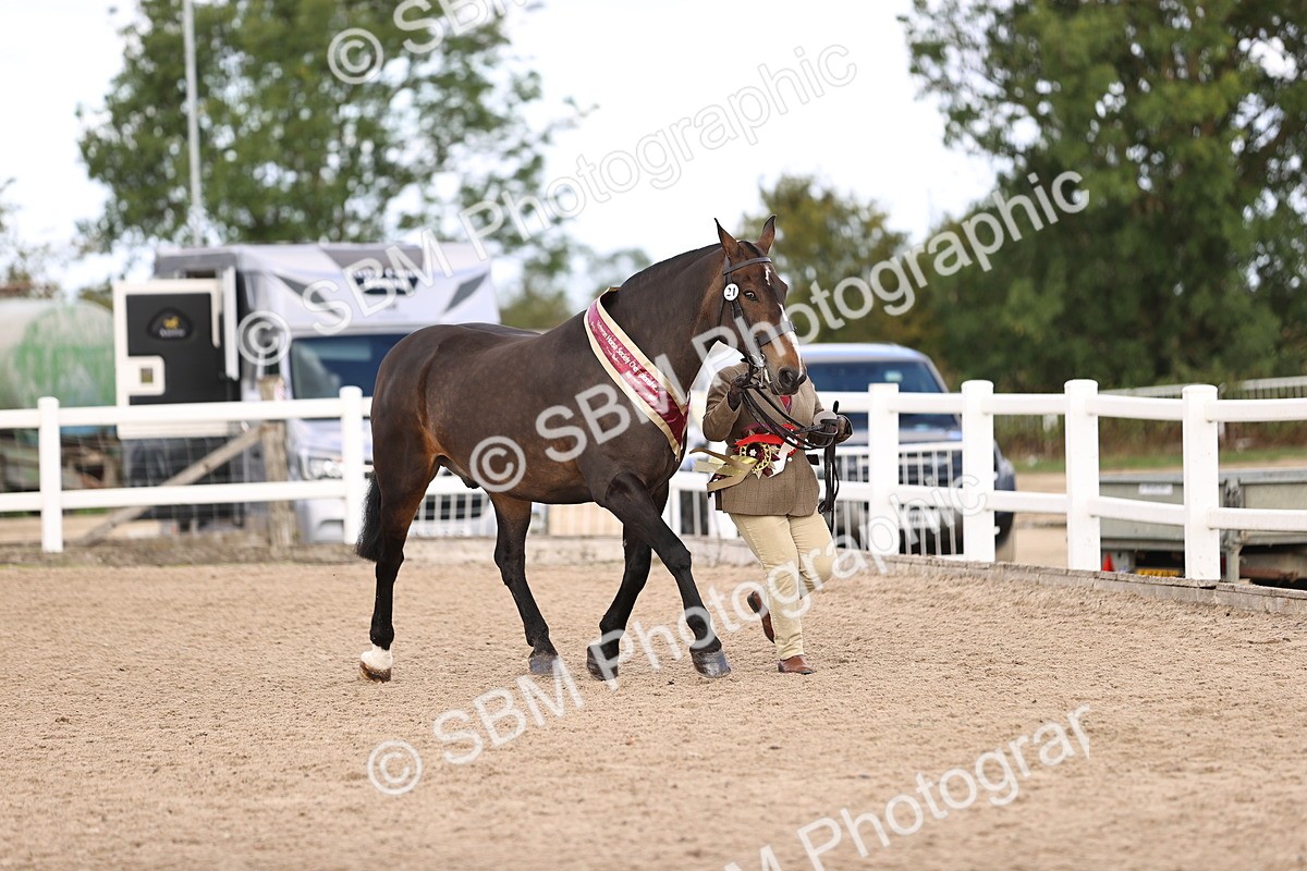SBM_10404 - Class 405 - IH Show Cob