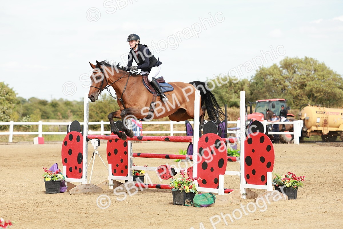 SBM_008078 - Class 4 - Senior Foxhunter - 1.20m Open