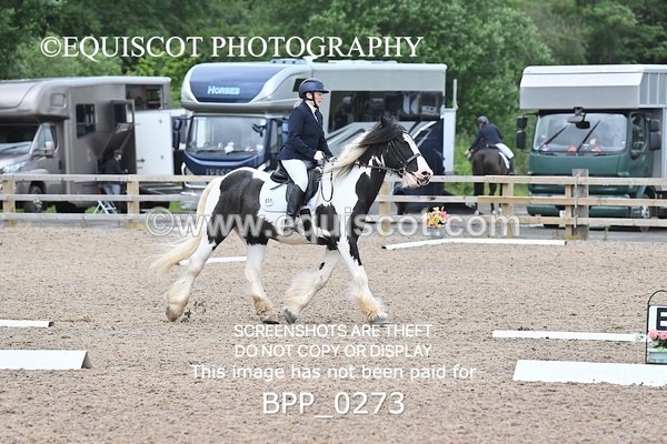 BPP_0273 - 31 E WYLLIE