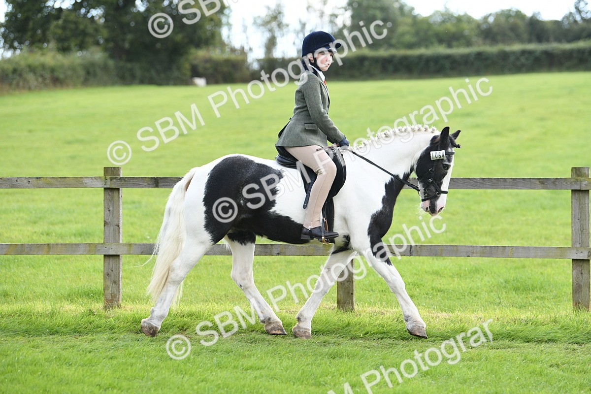 SBM_46734 - S12 - Family Horse & Pony