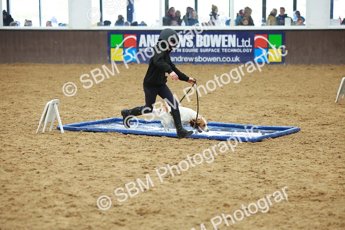 SBM_002545 - Class 3 - Horse & Hound (60cm)