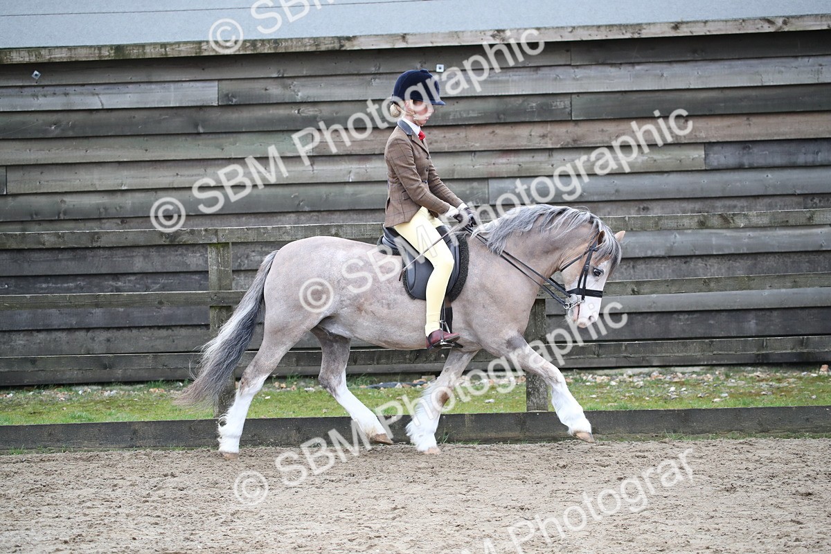 SBM_005911 - Class 10-13 - RIHS Small Large Breeds