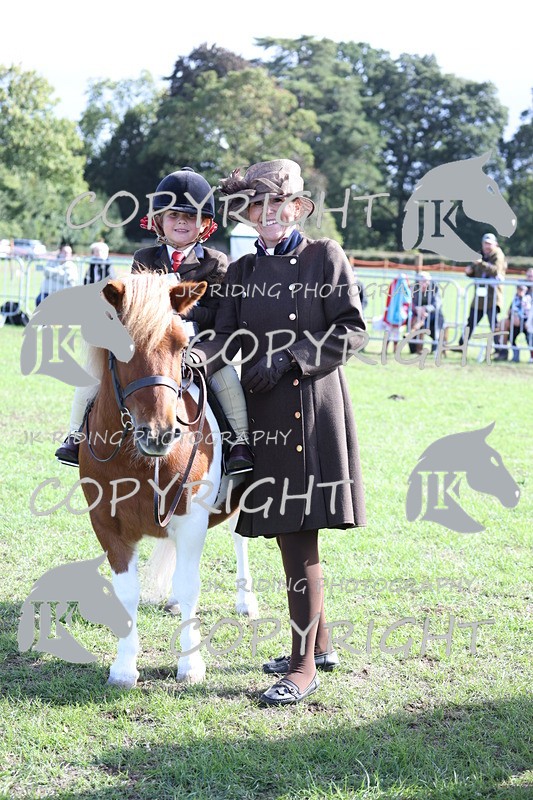 APP_3933 - Class 13 Lead rein