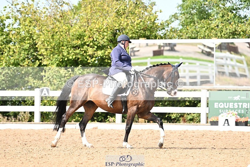 250815-111958-00588 - 031-Nicola.SealRebel.Heart