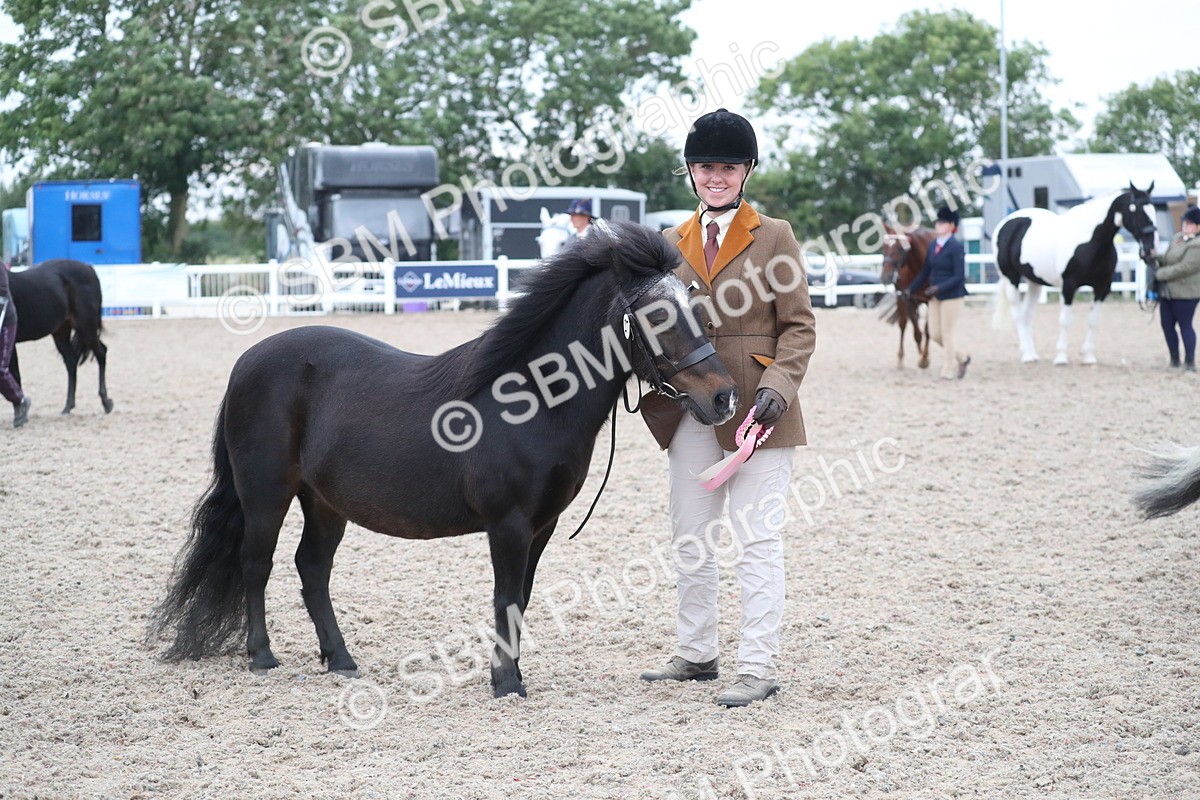 SBM_18420 - Class 318 IH Part bred Horse/Pony