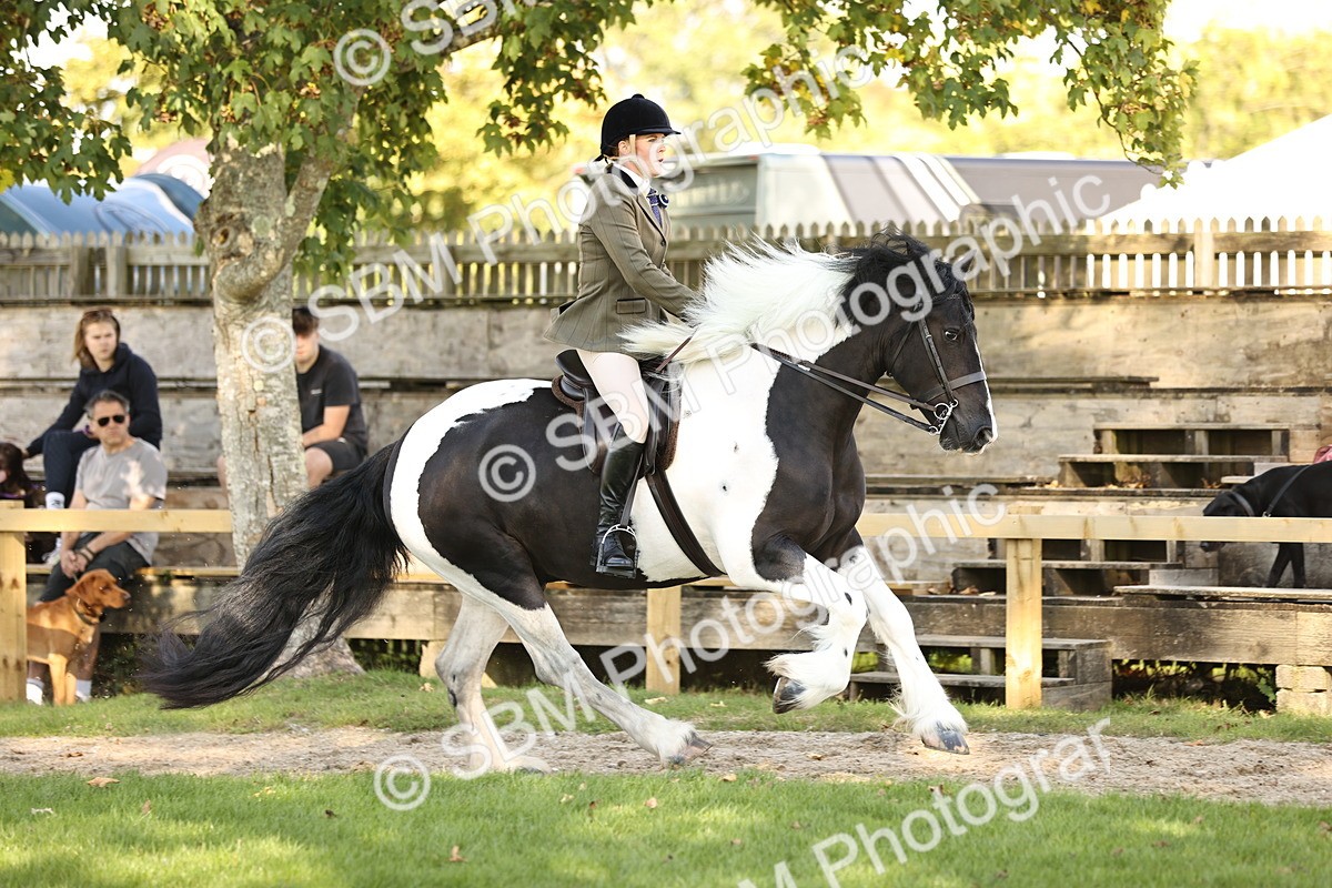 SBM_26433 - S6 - Novice & Newcomers Ridden Horse