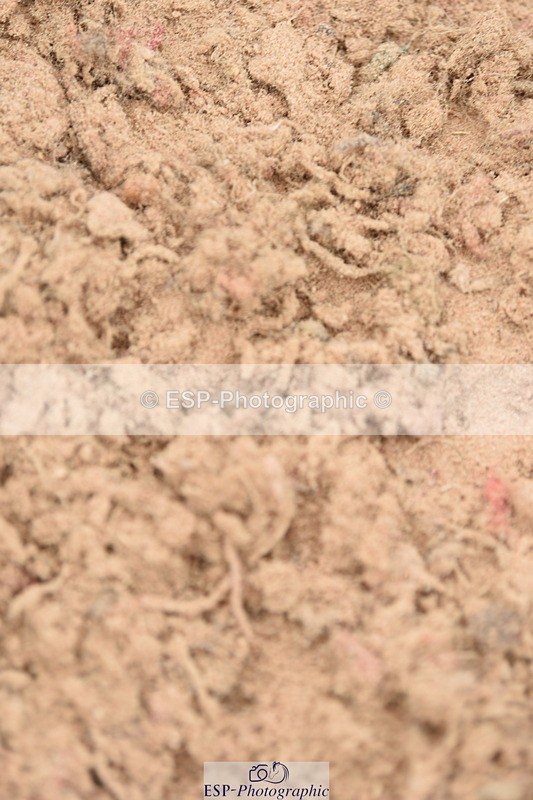 230628A-150324-00820 - Cls 5 Foxhunter & 1.20m Open