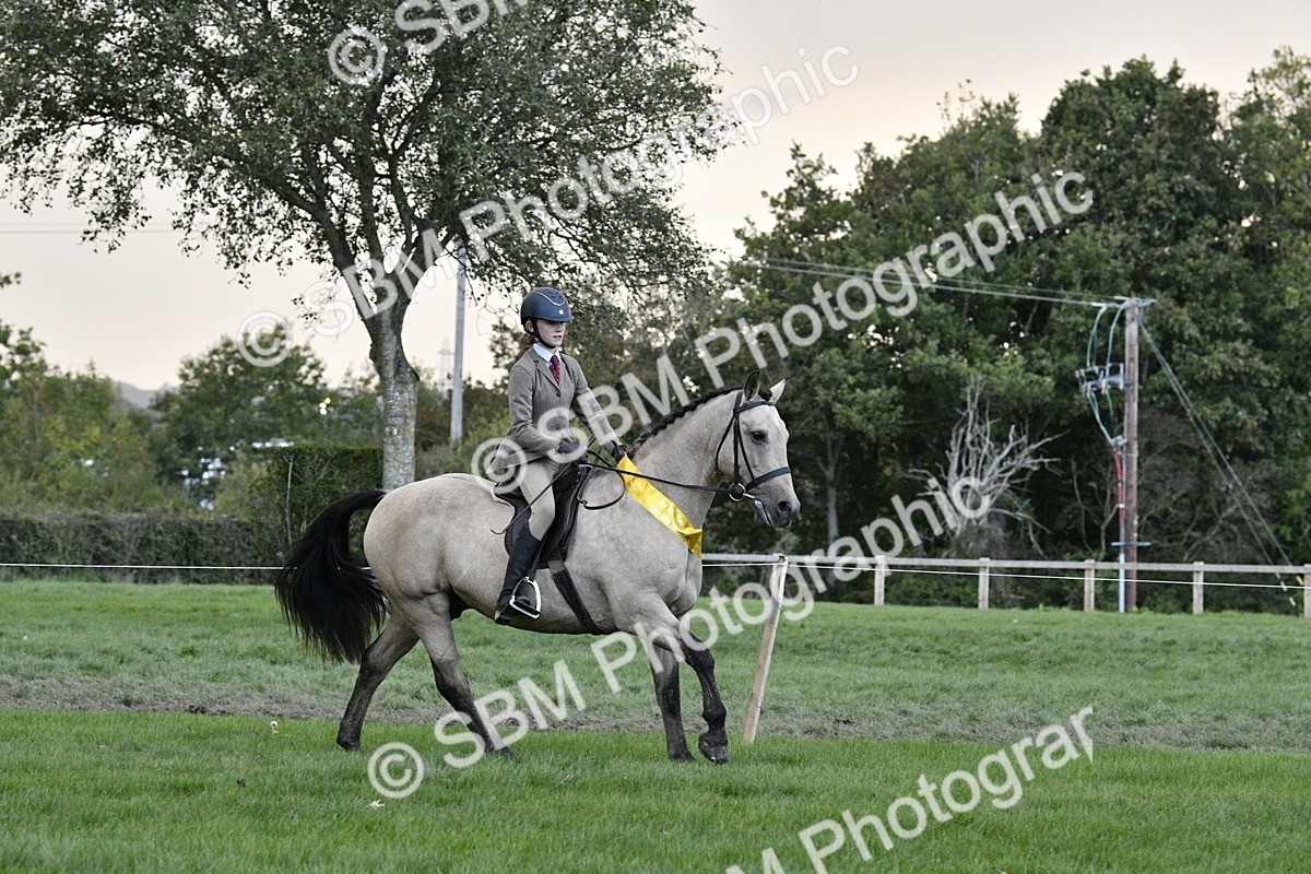 SBM_53311 - S14 - Riding Club Horse