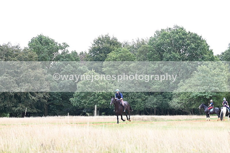 DSC_6485 - Time at Statue 12:17 to 12:44