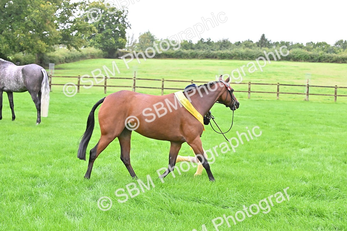 SBM_32670 - S15 - Top Turnout In Hand