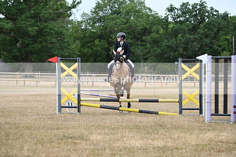 WJ6_9921 - Class 13 Novice Jumping 60cm