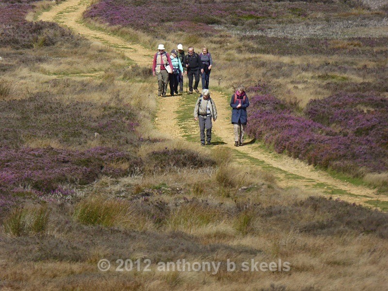 044  Coming back altogether for our Lunch Break - York Minster Walkers Collection 2026