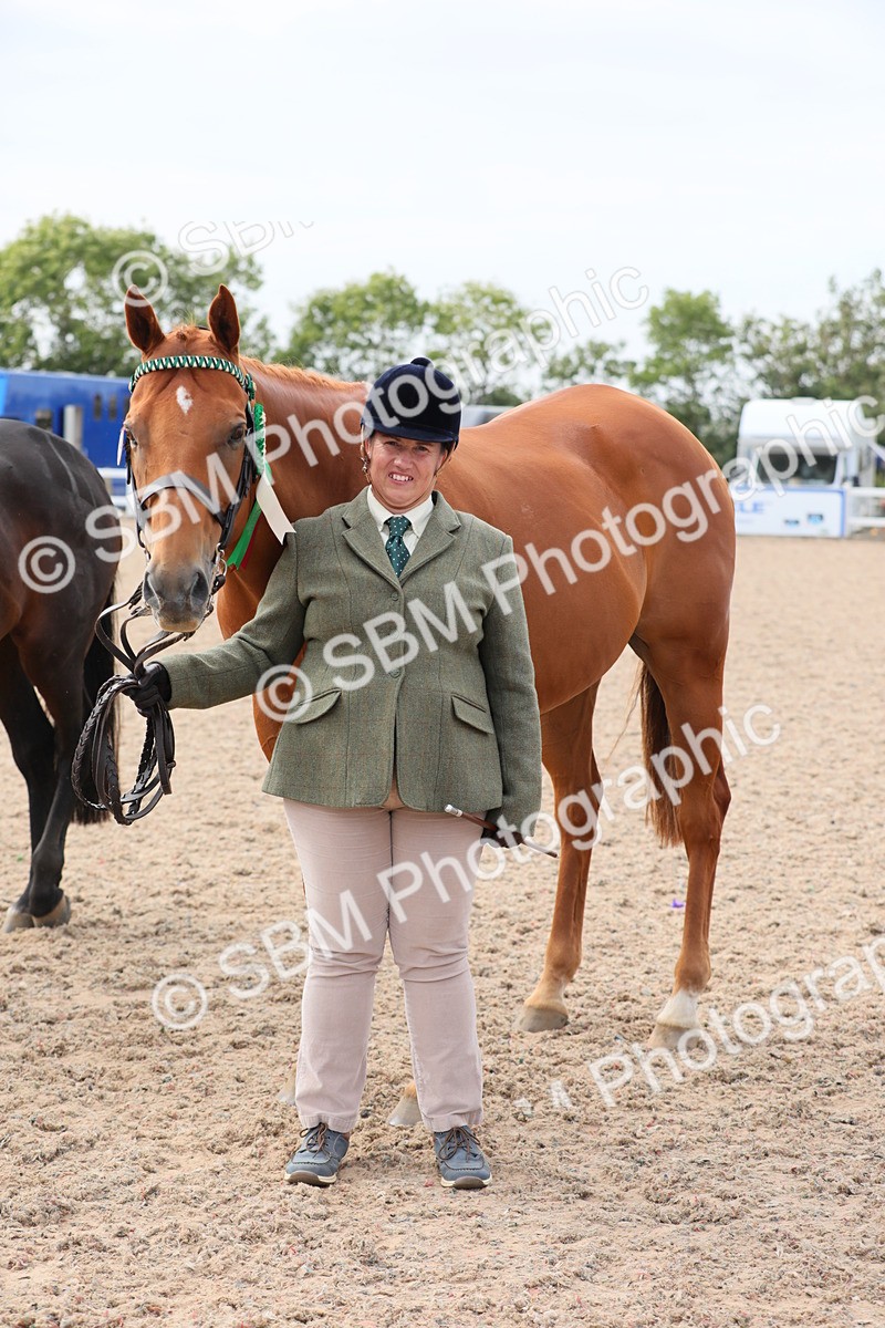 SBM_15981 - Class 313 IH Retired Racehorse
