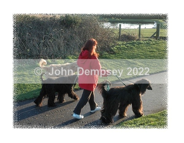 Time To Go - Walking the Dog