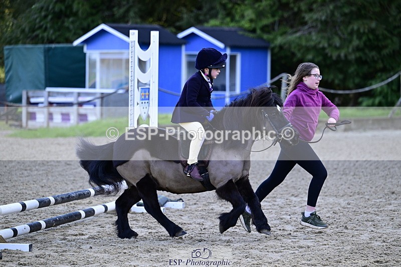 260411A-091906-00082 - 40cm Lead Rein