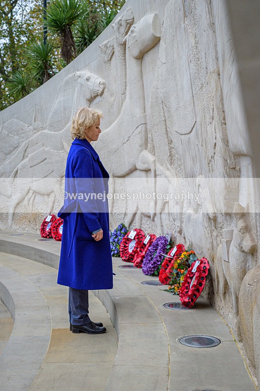 NGP_8232 - 2024 Animals in War Remembrance Gathering