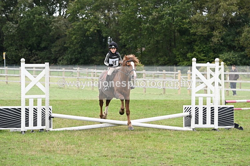 WJ6_0277 - 40cm Time 10:00 to 10:28