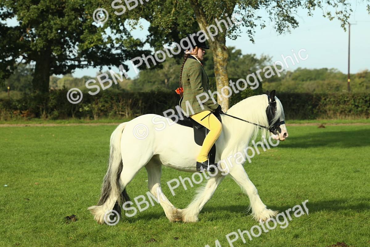 SBM_59841 - S38 - Starters Ridden Showing