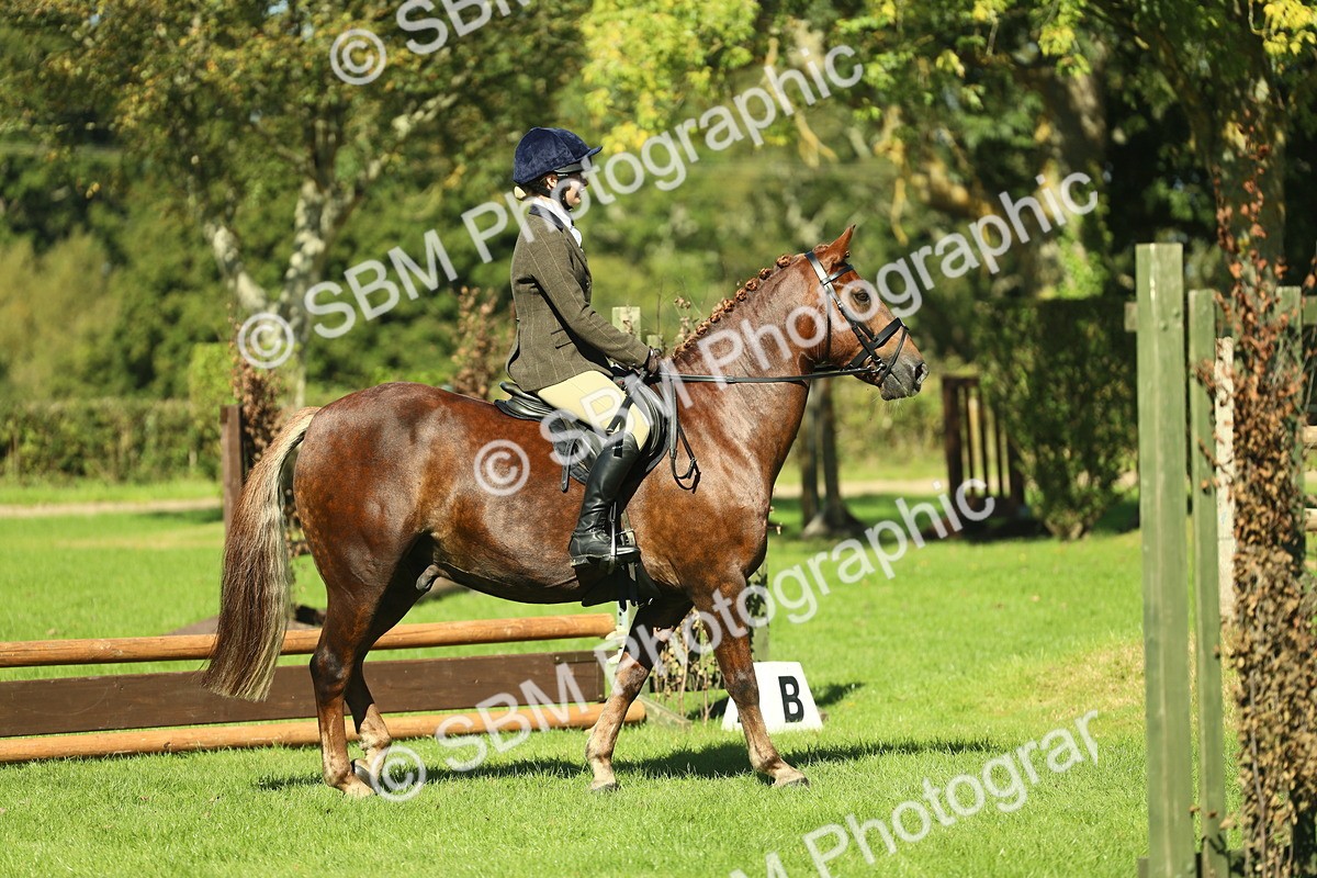 SBM_39144 - S29 - Novice & Newcomers Working Hunter Pony