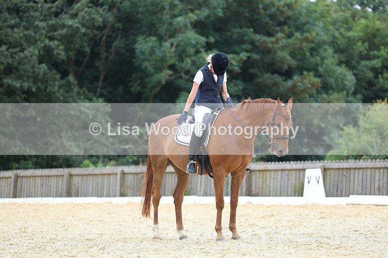 3E7A7195 - Class 9: Elementary 4 2024 - No sections