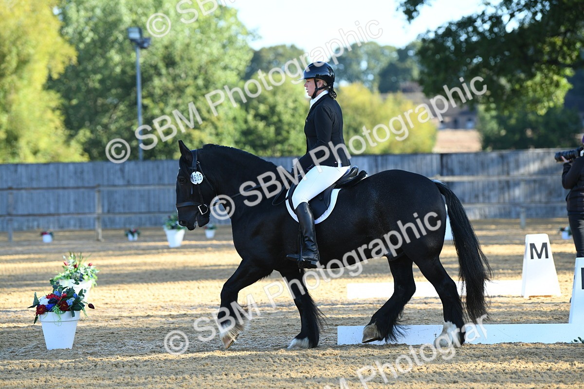SBM_14504 - D4 - Small Tour Championship - Intro B
