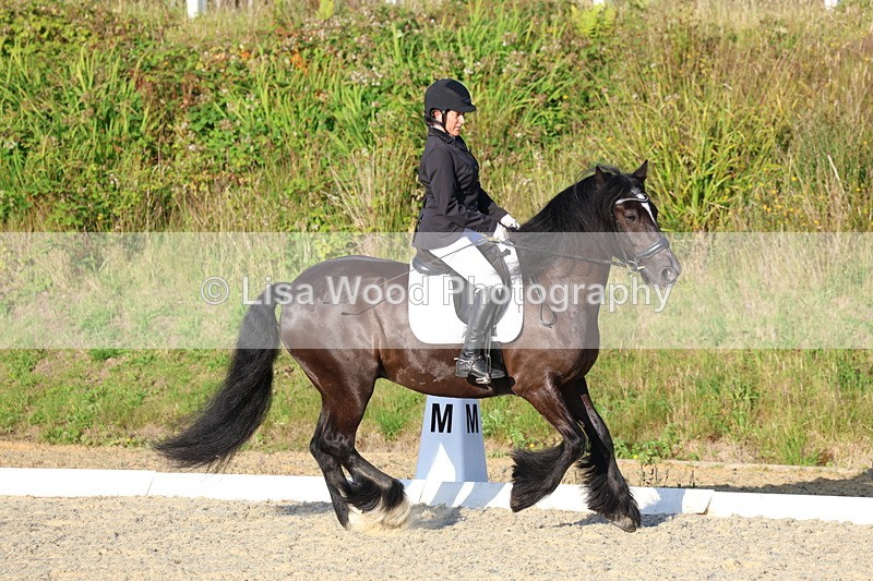 3E7A4195 - Class 3: Prelim 1 2024 Section A