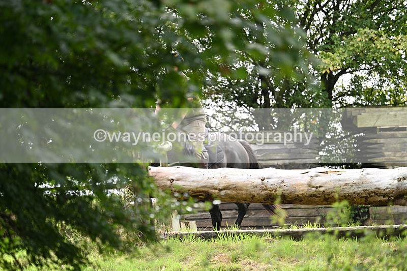 WJ7_8103 - Time 14:11 to 14:30