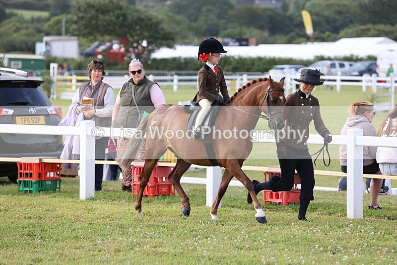 JPP_0269 - Class 14: Cornish Combination Leading Rein