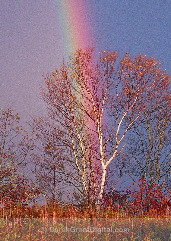 Rainbow / Autumn Foliage New Brunswick Canada - Sunset/Moonrise