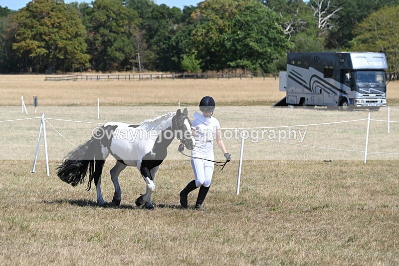 WJ6_8589 - Class 37b Best Loan Pony In-hand