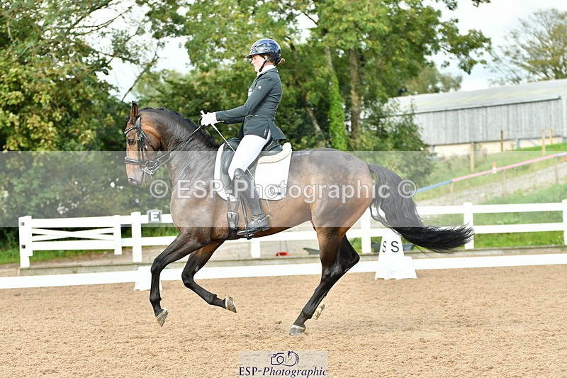 230912A-155048-01663 - Cls 13 Adv Medium 91