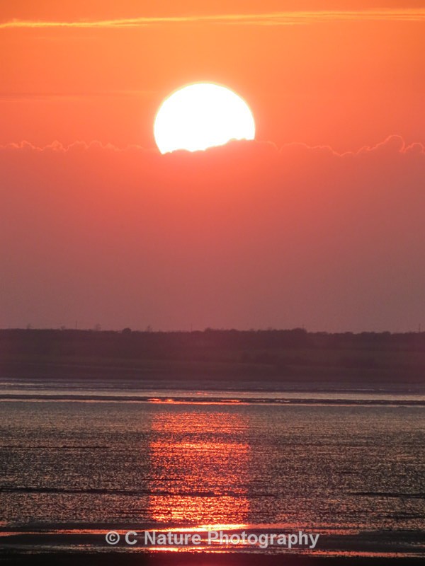 Sun Glow - Sunsets