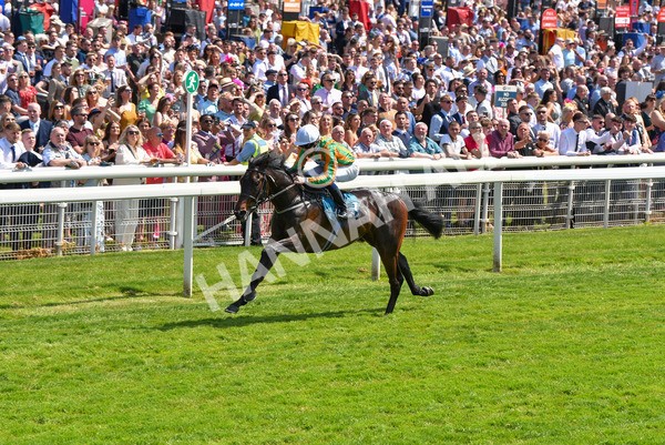 270523-Race 2-Native American-4113 - Race 2 2.10pm Collective Green Energy EBF Restricted Novice Stakes