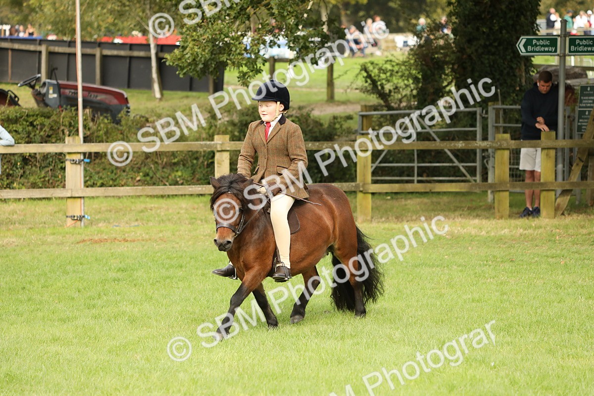 SBM_71523 - S41 - Ridden Equitation (Best Rider)