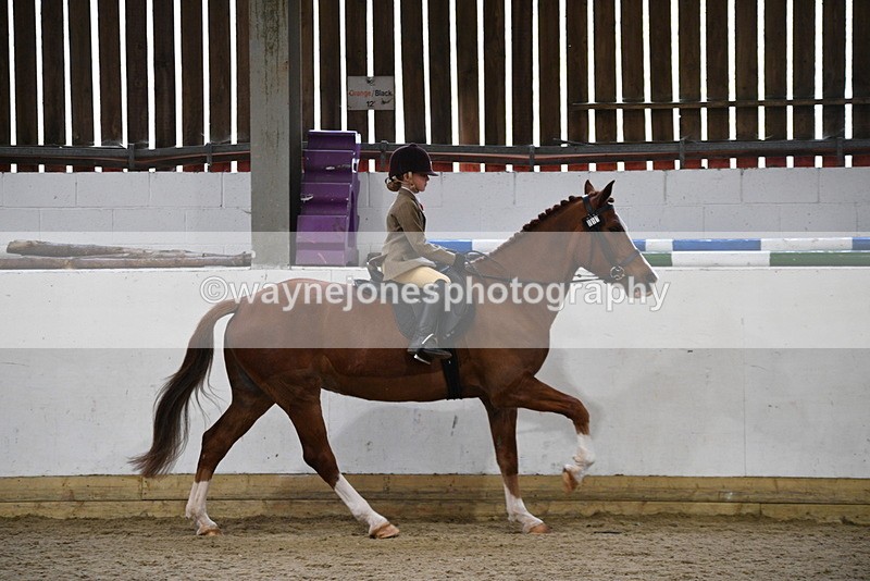 WJ5_6404 - Class 9 Ridden Veteran