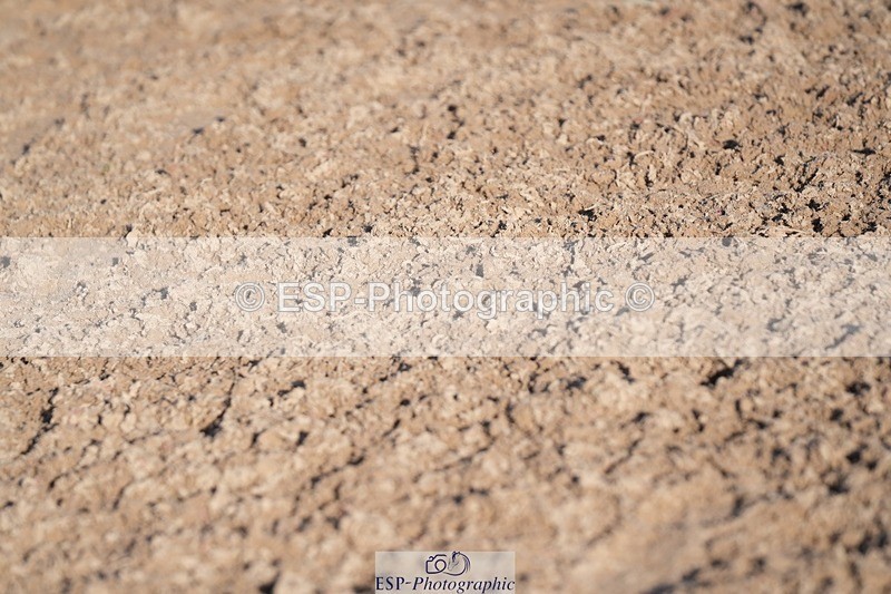 251130-132304-01236 - Cls 15 - 17 Children on Horses