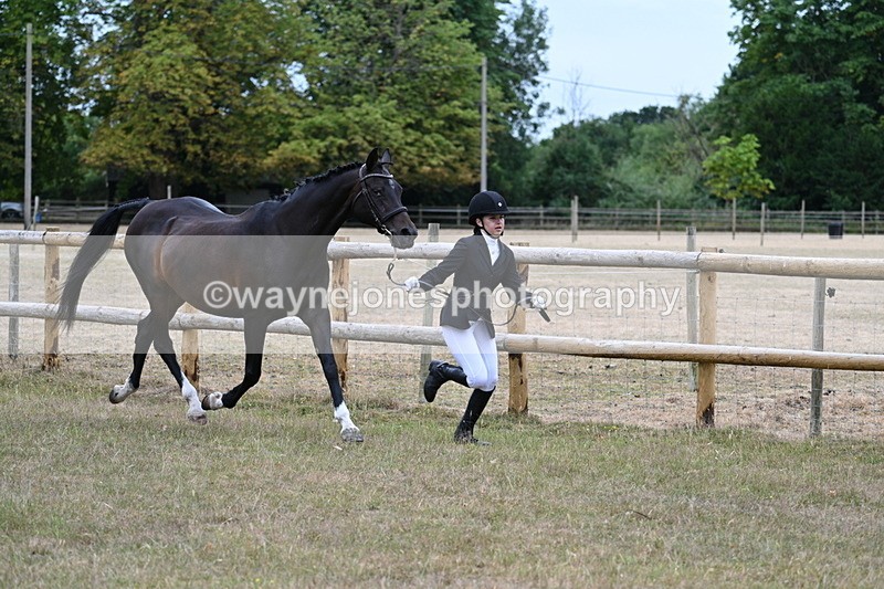 WJ7_8989 - Class 4a Prettiest Mare 14.2hh and over