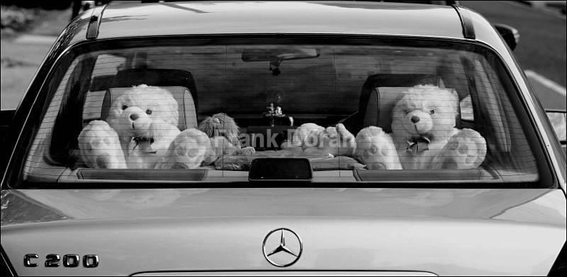 Teddy Bears in Mercedes - Frank Doran