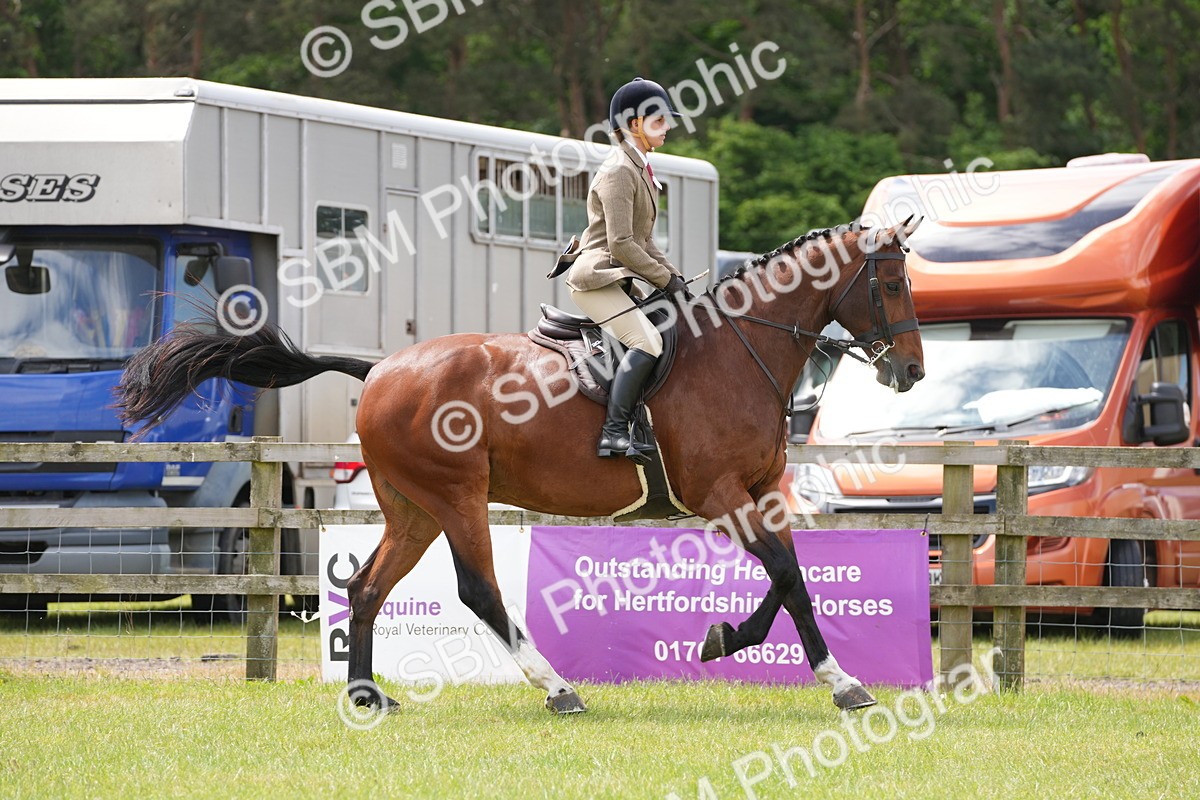 SBM_15033 - Class 100-102 - RIHS Working Hunter