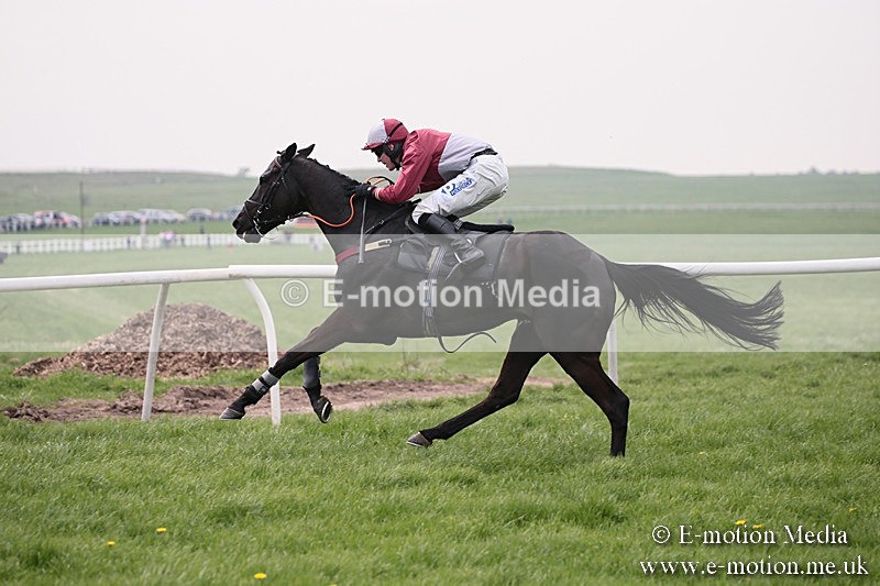 PtP 210418 127 - South & West Wilts Point-to-Point Larkhill 21/04/18