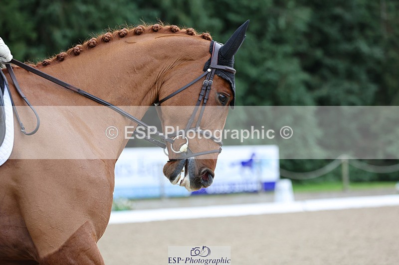 241024-115047-01919 - 054-Matthew.Heath-DASSETT.VENTURE